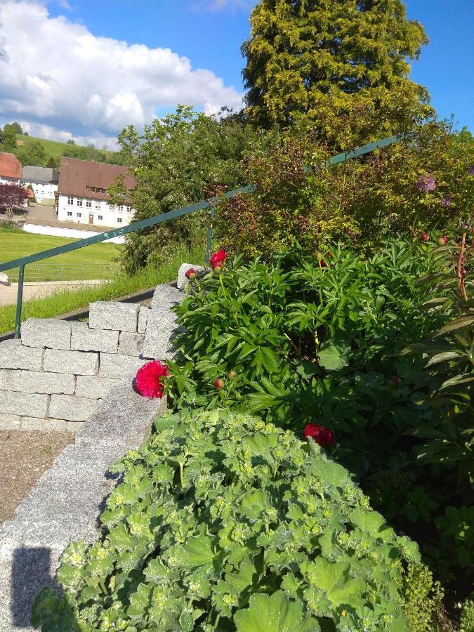 Amy'S Apartment, Relax And Enjoy Bonndorf im Schwarzwald Exterior foto